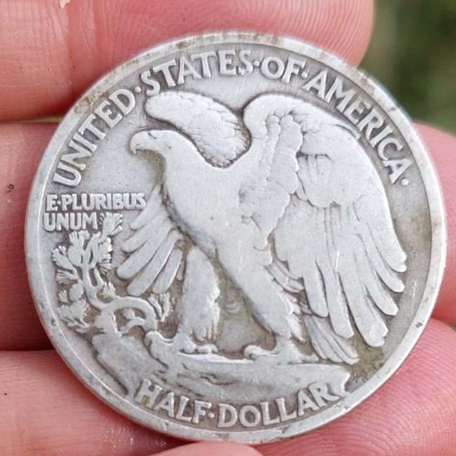 Big-Silver!--I-Dug-Up-A-1917-Walking-Liberty-Half-Dollar
